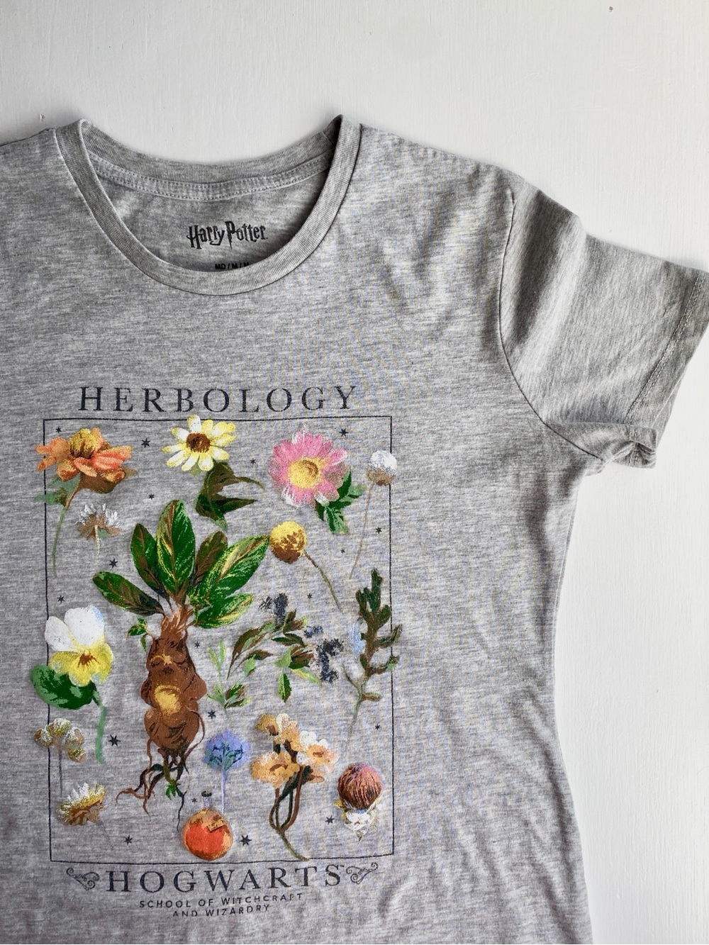 Warner Bros. Harry Potter Floral Herbology Tee in Gray